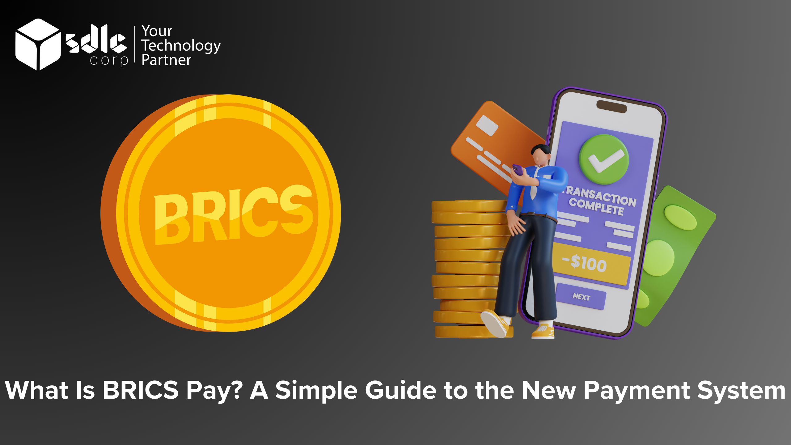 What Is BRICS Pay A Simple Guide to the New Payment System