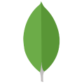 MongoDB database platform