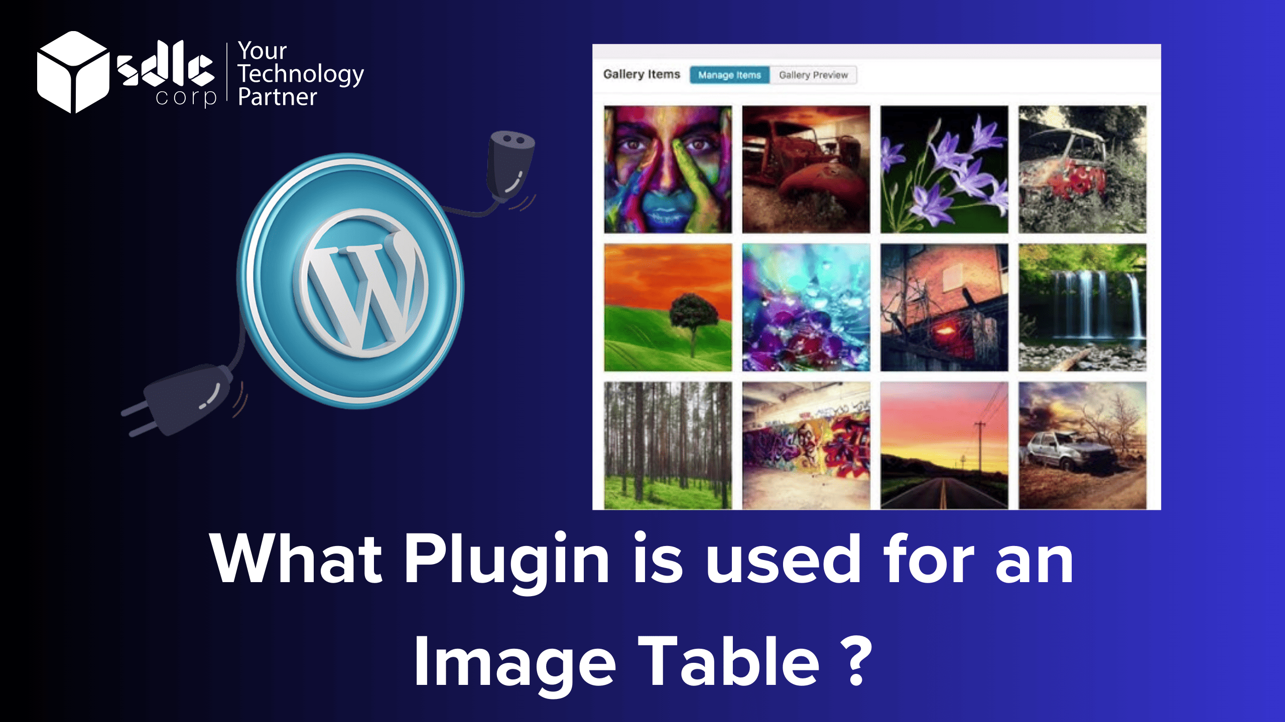 What Plugin is used for an Image Table (1)