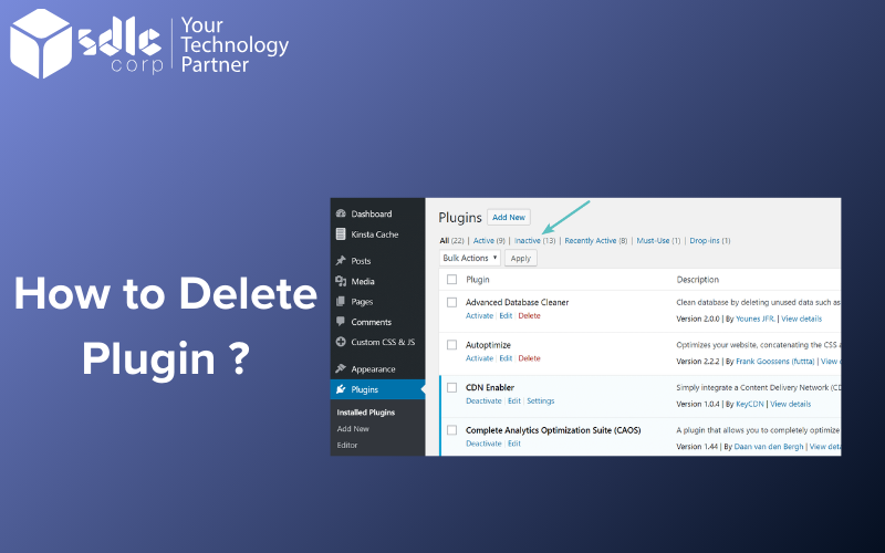 How to Delete Plugin