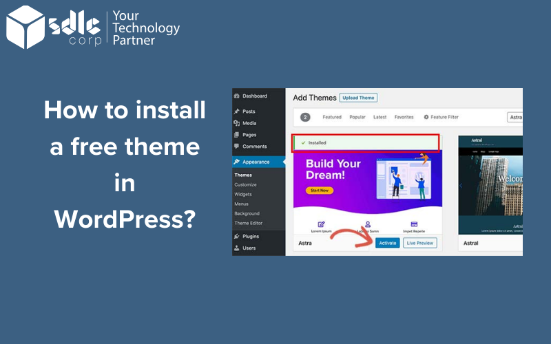 How to install a free theme in WordPress