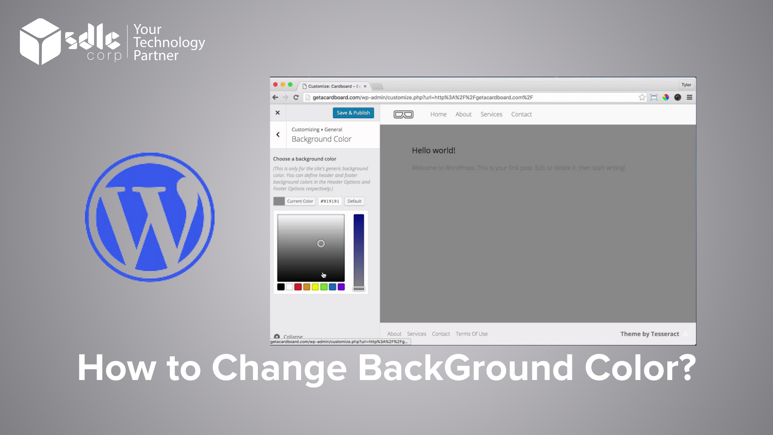 How to Change Background Color?
