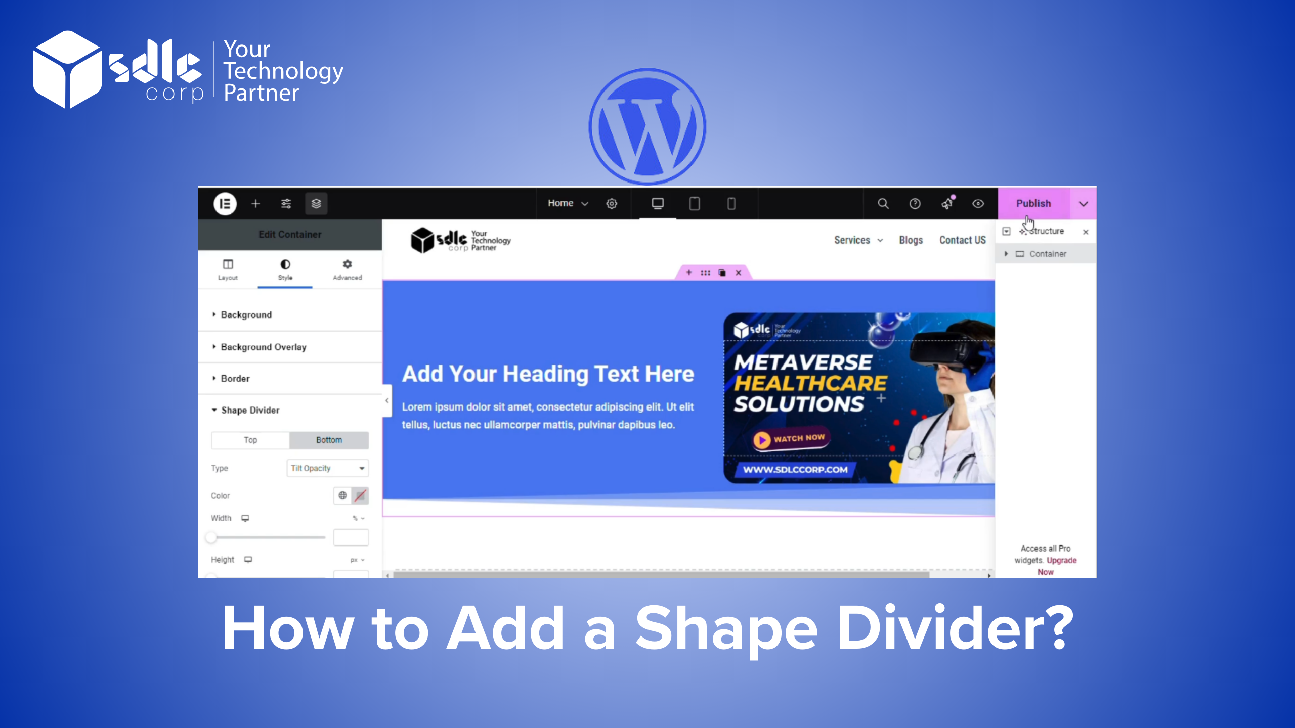 How to Add a Shape Divider?