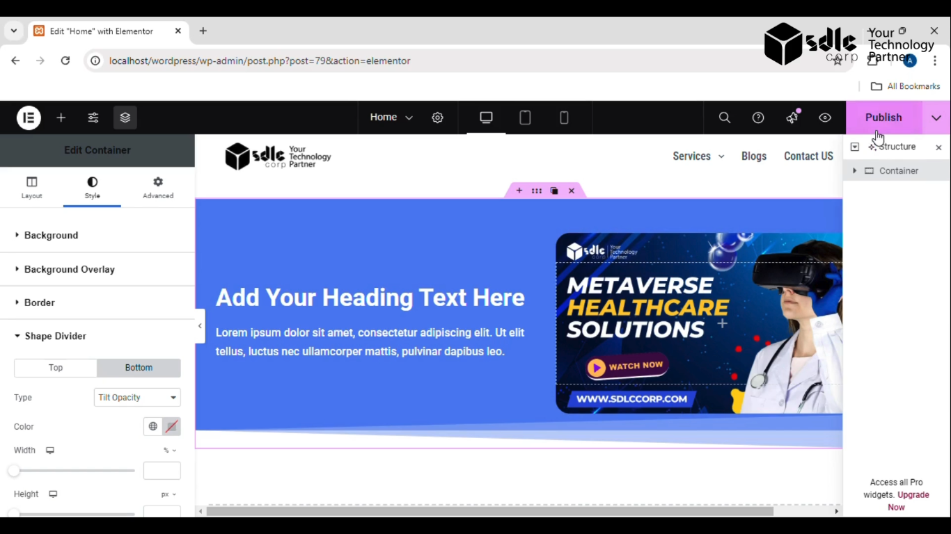Click the Publish Button