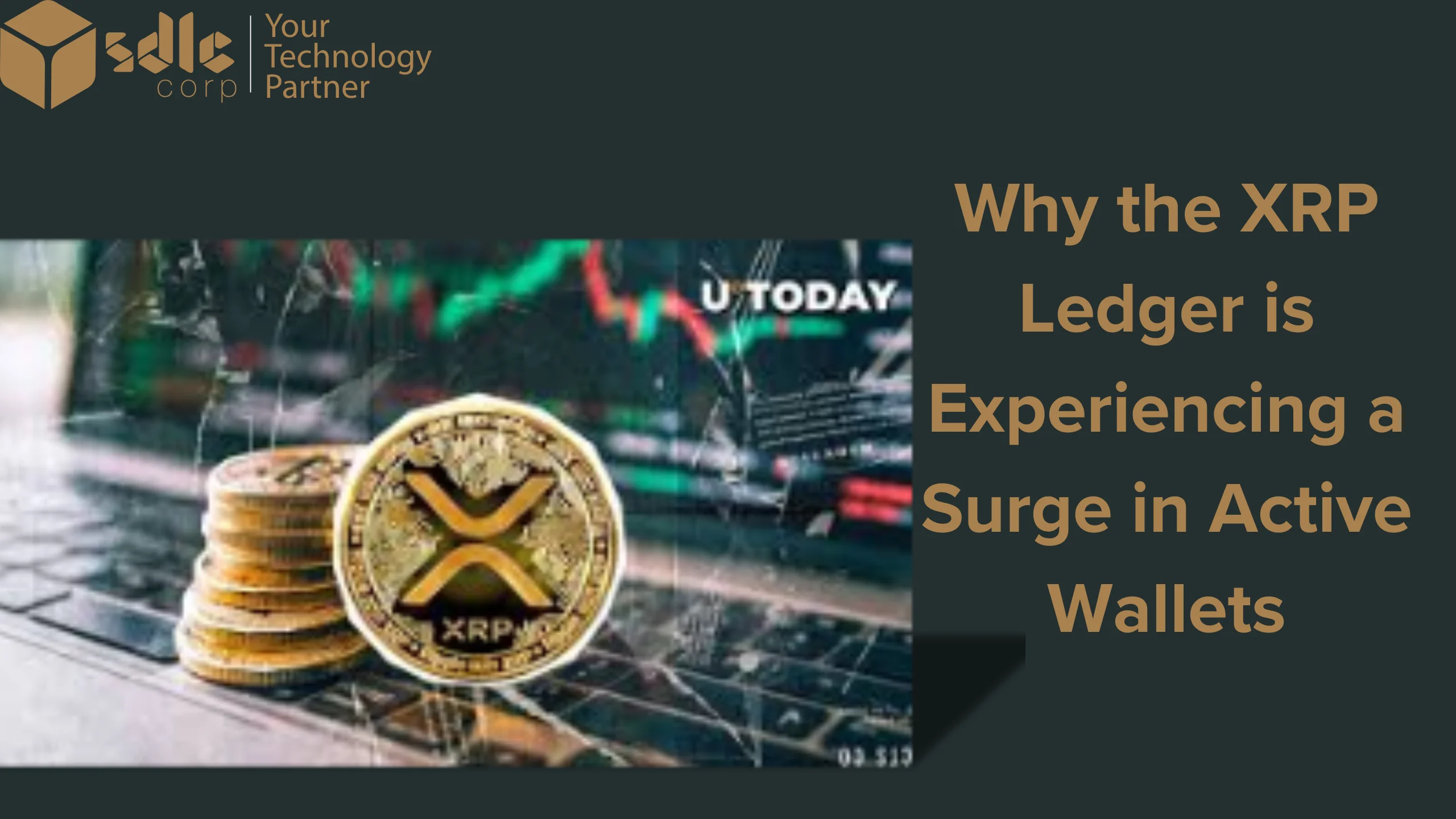 Why the XRP Ledger is Experiencing a Surge in Active Wallets