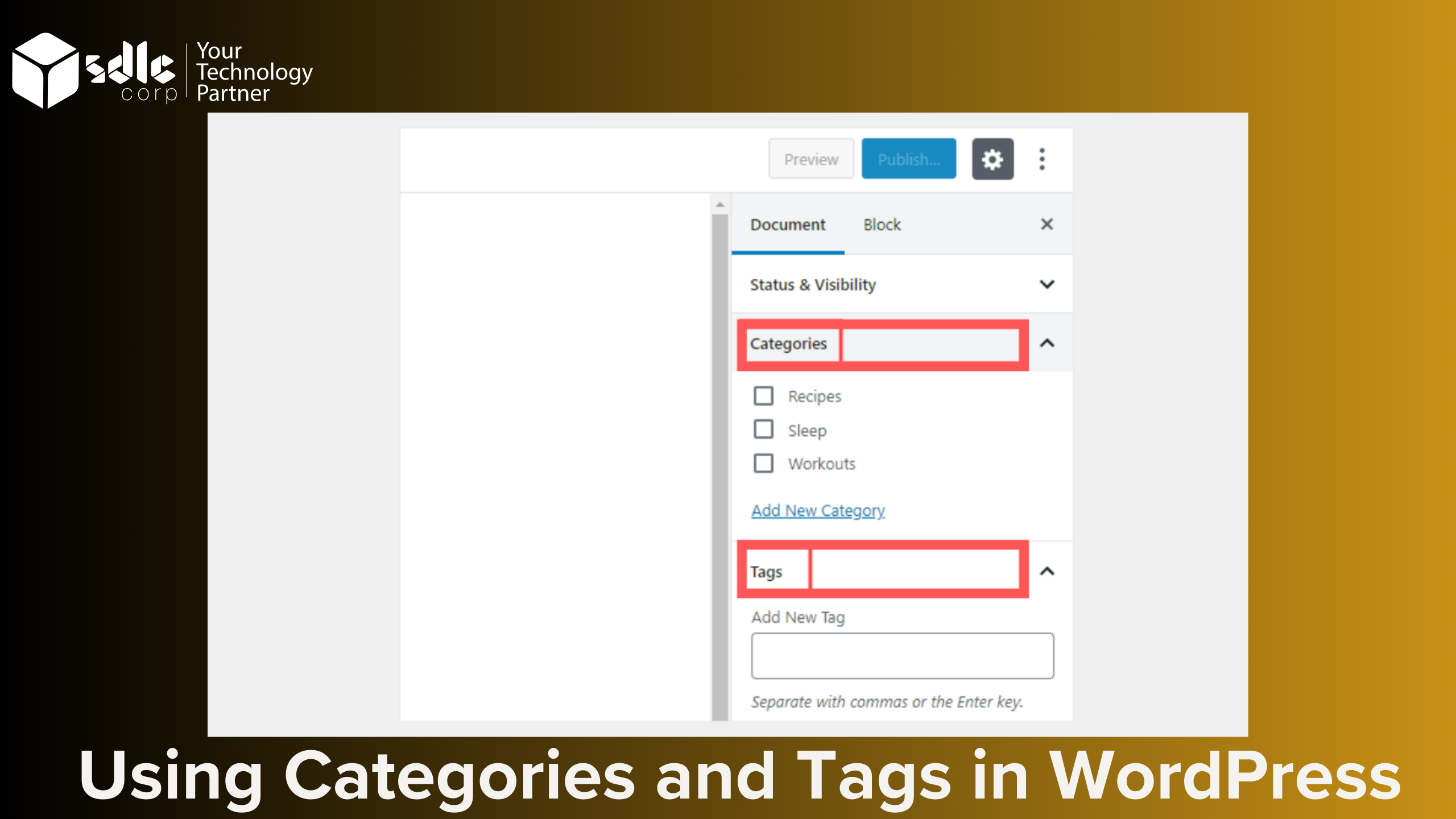 categories and tags in wordpress