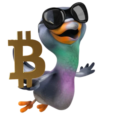 Curious about Privacy Coins