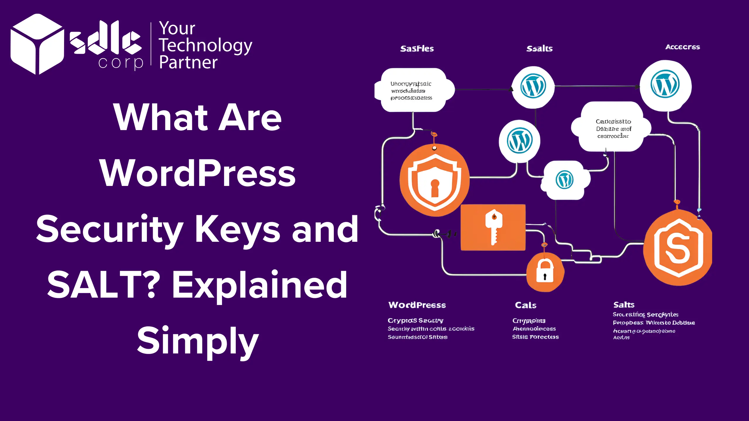 What Are WordPress Security Keys and SALT Explained Simply
