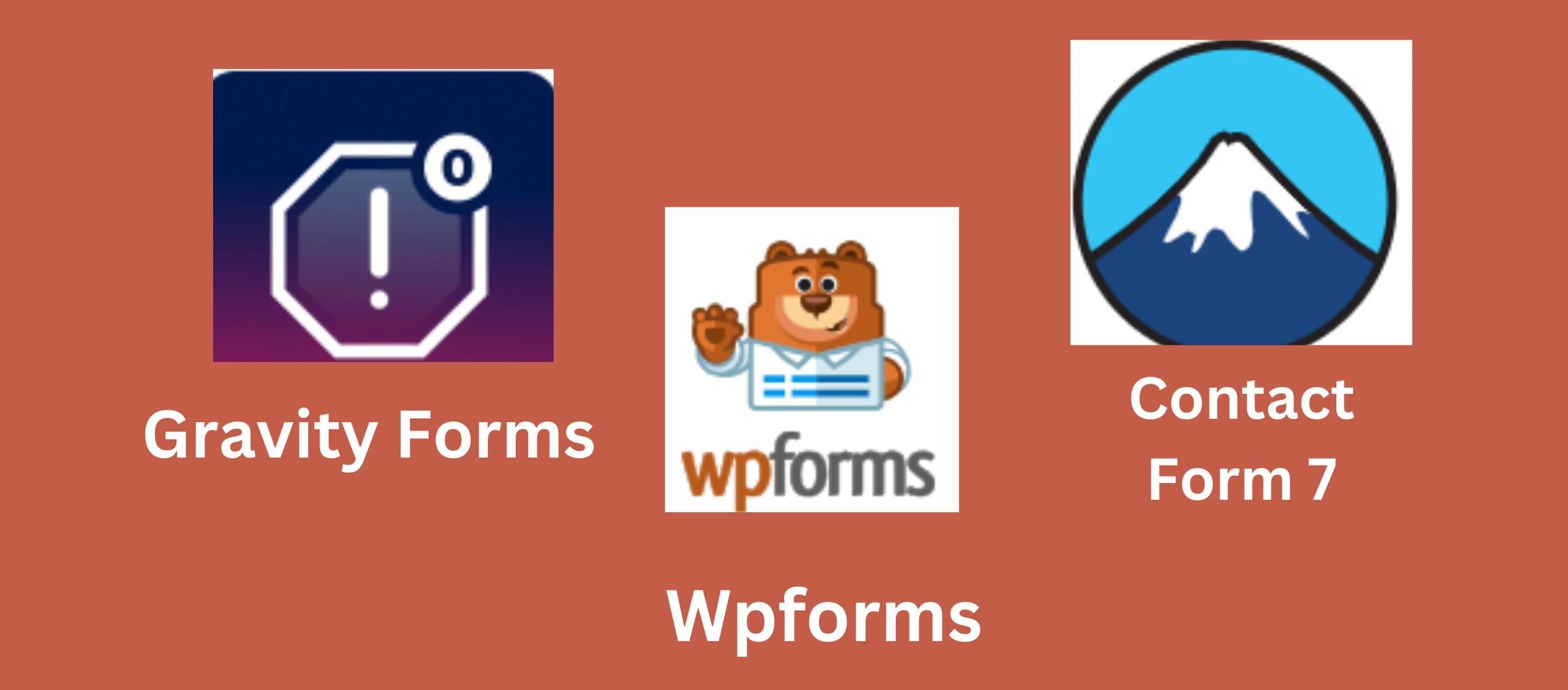Contact form plugin wordpress