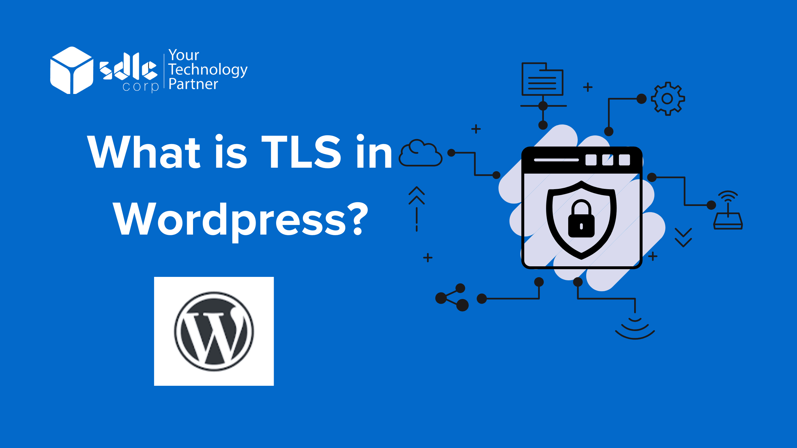 What is TLS in Wordpress