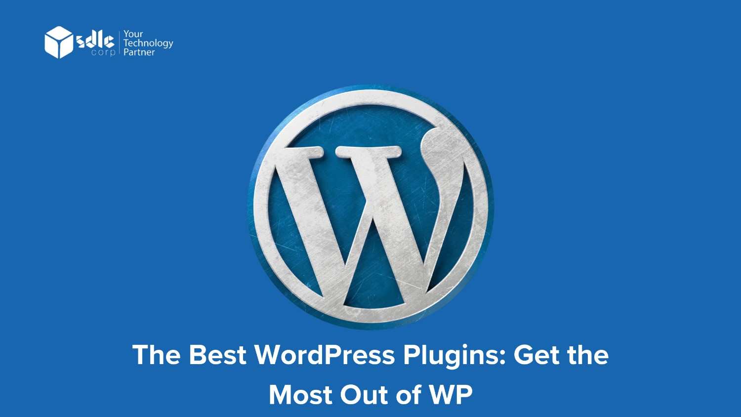 WordPress Plugins