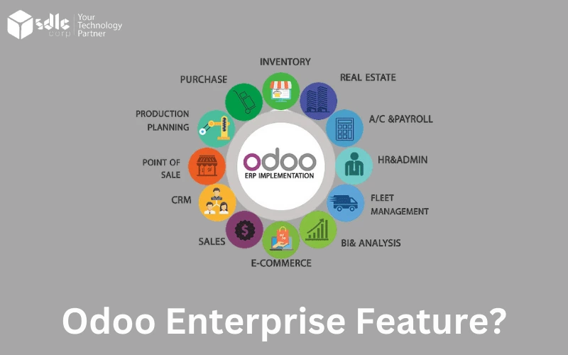 Odoo Enterprise Feature