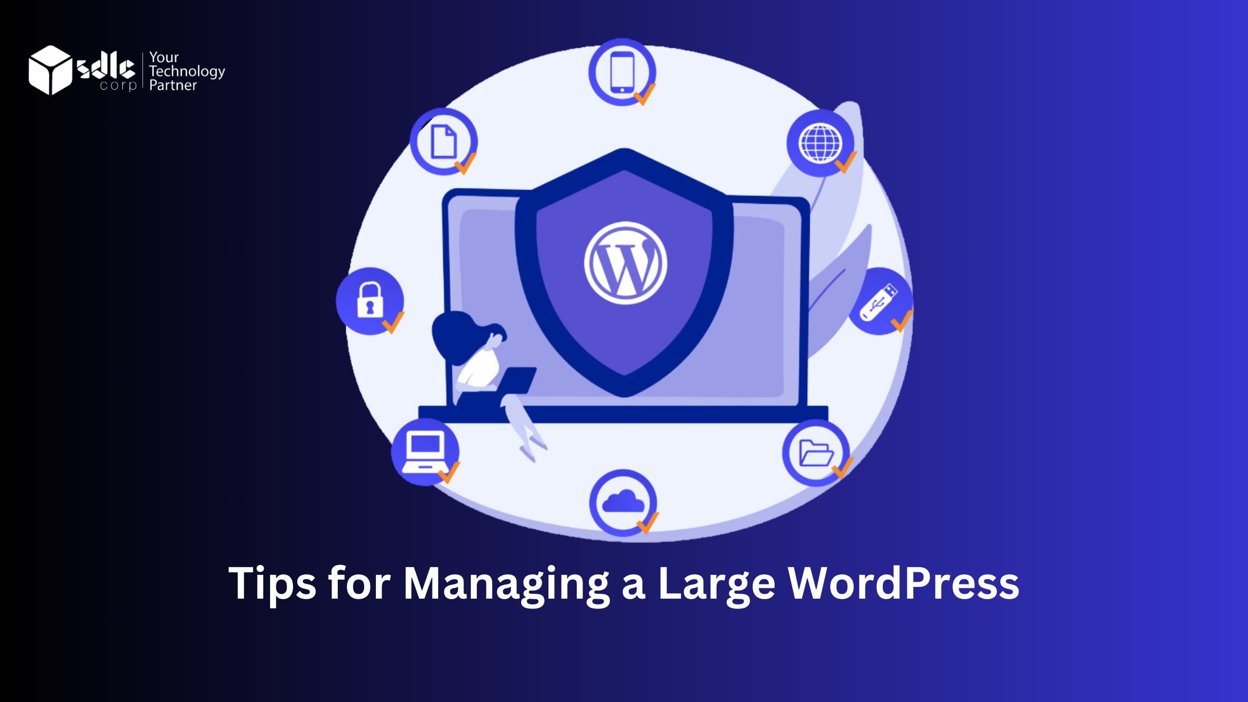 Tips for Managing a Large WordPress
