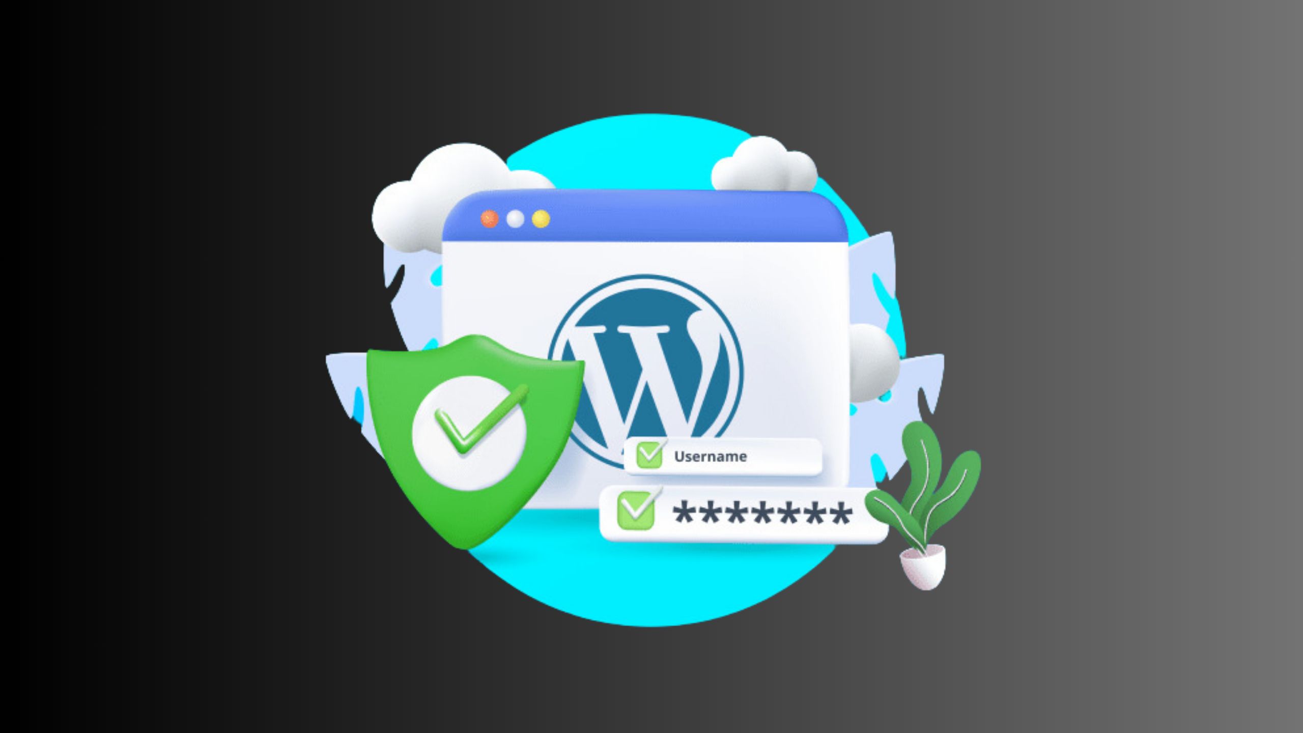 Tips for Managing a Large WordPress