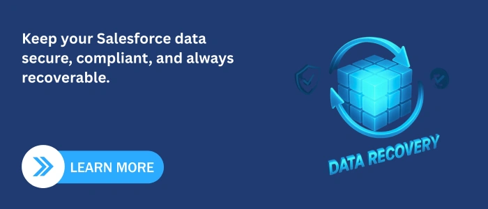 salesforce data backup services
