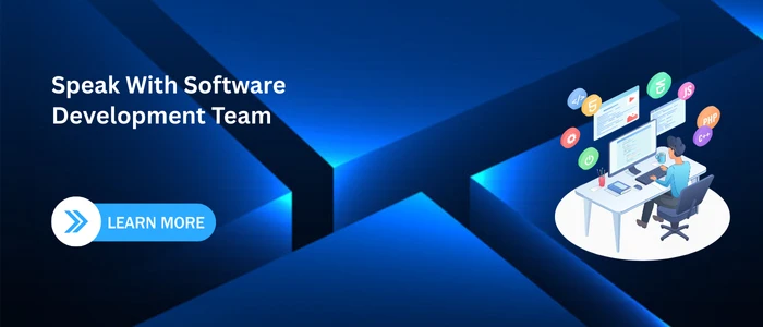 custom software estimate