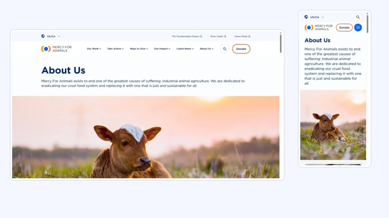 Mercy For Animals website on desktop and mobile, built on WordPress multisite