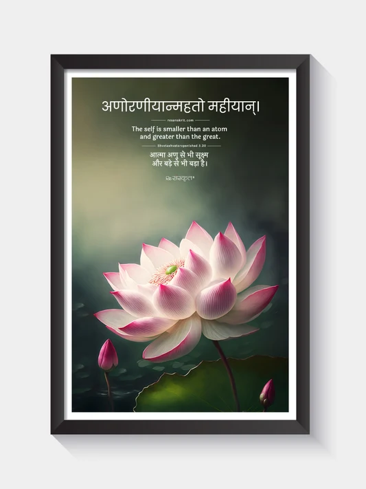 ReSanskrit Beyond Measure framed lotus wall art with a Sanskrit verse